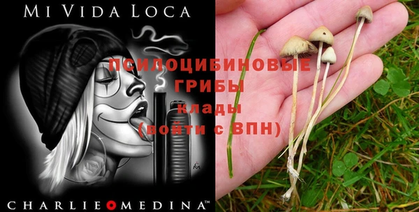 таблы Волосово