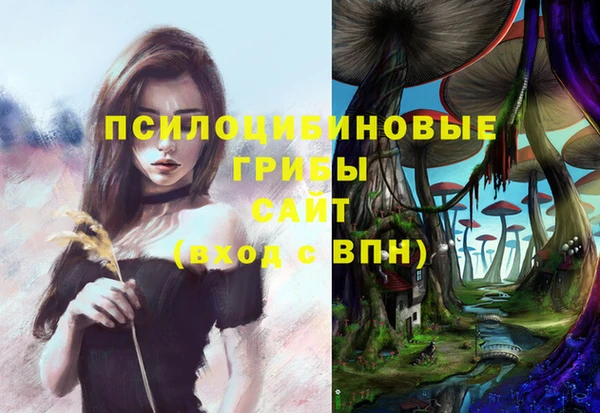 гидра Волоколамск