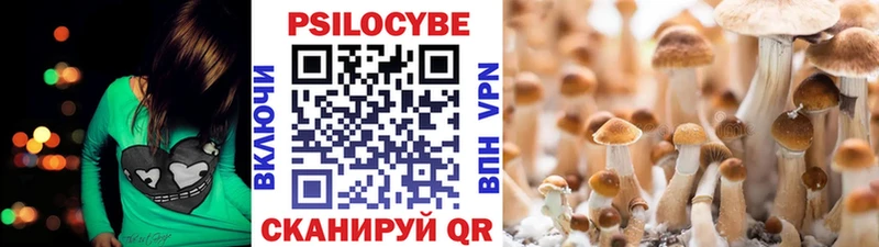 дарнет шоп  Рязань  Галлюциногенные грибы Cubensis 